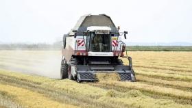 В Госдуму внесли законопроект о «рисопригодных землях»